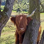 Сasa de vacaciones Benno Der Wagen - Kreativ Gestaltetes Tiny House Am Waldrand Nahezu Alleinlage Rennsteig Grünes Band Pur Hund Willkommen Tettau