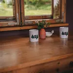 Сasa de vacaciones Benno Der Wagen - Kreativ Gestaltetes Tiny House Am Waldrand Nahezu Alleinlage Rennsteig Grünes Band Pur Hund Willkommen *