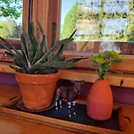 Сasa de vacaciones Benno Der Wagen - Kreativ Gestaltetes Tiny House Am Waldrand Nahezu Alleinlage Rennsteig Grünes Band Pur Hund Willkommen Tettau