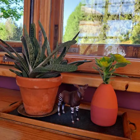 Holiday home Benno Der Wagen - Kreativ Gestaltetes Tiny House Am Waldrand Nahezu Alleinlage Rennsteig Gruenes Band Pur Hund Willkommen Tettau